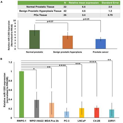 MicroRNA-1205 Regulation of FRYL in Prostate Cancer